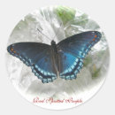 Search for red spot stickers Butterfly