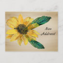 Search for neutral background postcards Sunflower