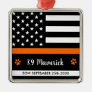 Search for sar Dog