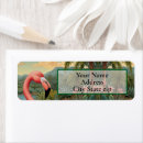 Search for sea birds return address labels Tropical