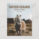 Search for virginia postcards Souvenir