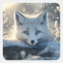 Search for blue fox stickers Winter