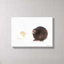 Search for kiwi bird art Animals