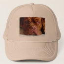 Search for little dog hats Pets
