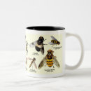 Search for entomology mugs Flies
