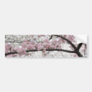Search for cherry bumper stickers Blossom