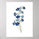 Search for delphinium art Nature