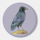 Search for crows magnets Bird