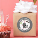 Search for opossum stickers Cute