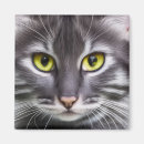 Search for wondering magnets Cat