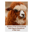 Search for llama animal posters Cute