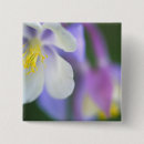 Search for closeup badges Flower