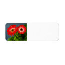 Search for red daisy return address labels Summer