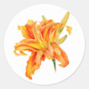 Search for daylily stickers Flower