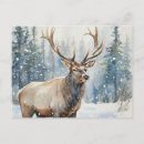 Search for elk in snow postcards Winter