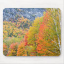 Search for maine mousepads New england