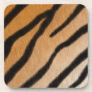 Search for zoos barware Nature