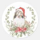 Search for shetland sheepdog stickers Puppy