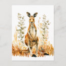 Search for outback postcards Kangaroo