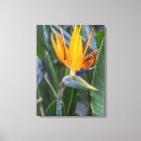 Search for bird canvas prints Orange