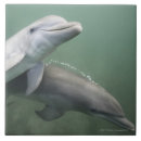 Search for underwater tiles Animal