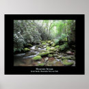 Search for mountain stream Scenic