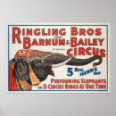 Search for bro art Circus