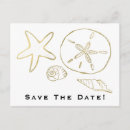 Search for beach shells postcards Coastal