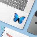 Search for morpho stickers Insect