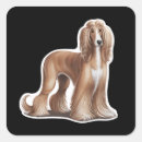 Search for afghan hound stickers Animal