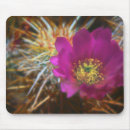 Search for pedal electronics Bloom