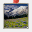 Search for washington christmas tree decorations Alpine