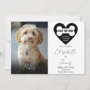 Search for my humans are getting married wedding save the dates Engagement