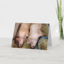 Search for pig anniversary cards Funny