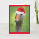 Search for goose christmas cards Geese