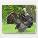 Search for bird hunters mousepads Feathers
