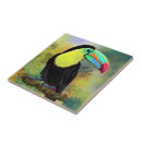 Search for tropical bird tiles Colourful