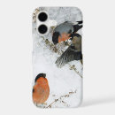 Search for bird in snow iphone cases Animal