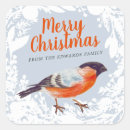 Search for winter birds stickers Wreath