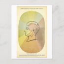 Search for anatomy postcards Illustration