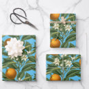 Search for orange blossom wrapping paper Citrus