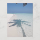 Search for purity postcards Outdoors