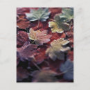 Search for large group of objects postcards Abundance
