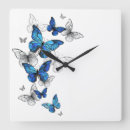 Search for butterfly clocks Butterflies
