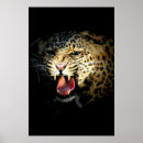 Search for vintage cat pictures posters For her