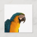 Search for post business cards Bird