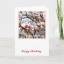 Search for spring birthday cards Blossom