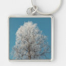 Search for willow tree key rings Nature