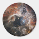 Search for tarantulas magnets Tarantula nebula