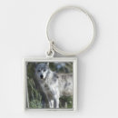 Search for wolf portrait key rings Wildlife